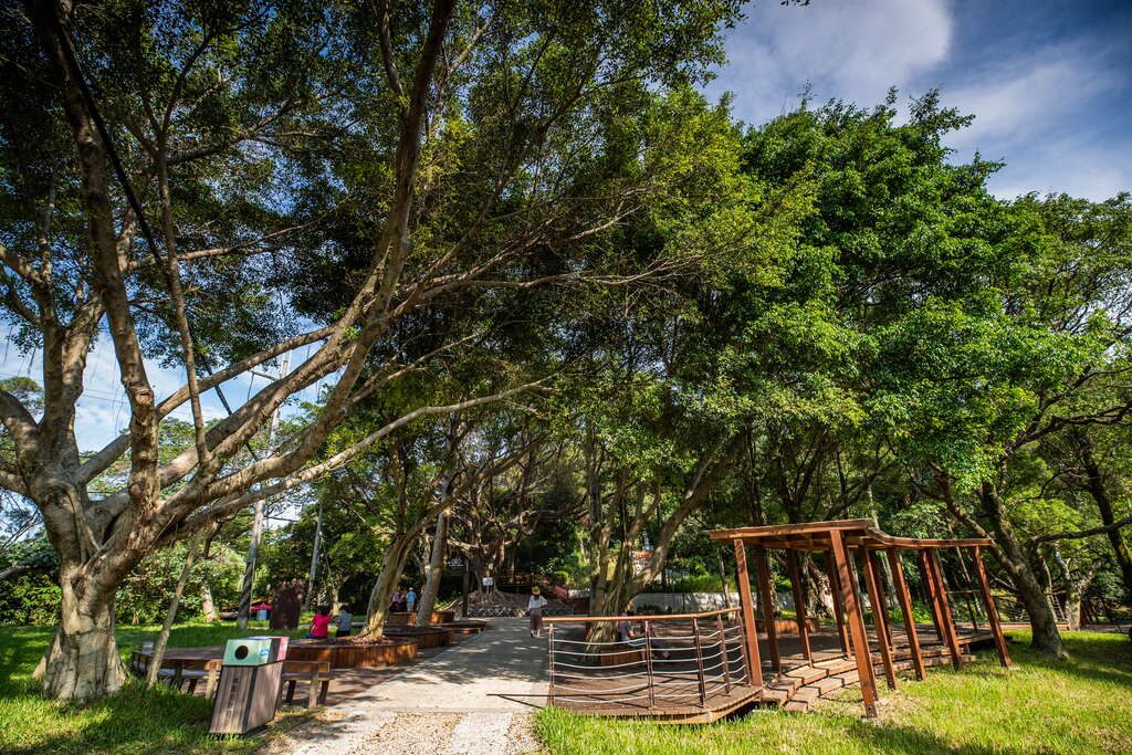 五酒桶山步道的自然林蔭與遼闊視野