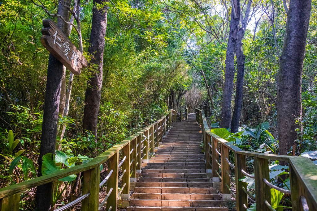 在羊稠森林步道感受自然的靜謐時光