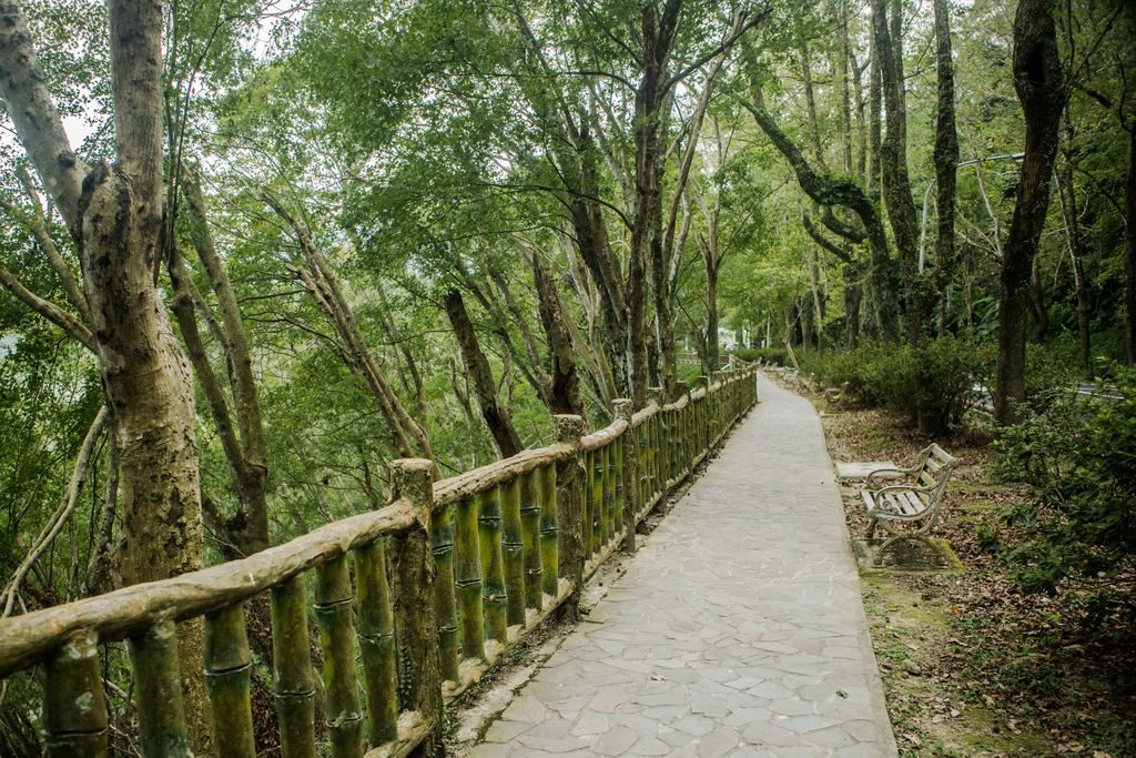 在光影與樹梢之間，享受雙腳帶來的靜謐時光