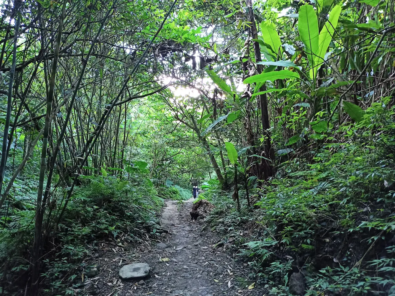 秋天最剛好的節奏｜桃園石門山步道三條路線，輕鬆健行、遠眺石門水庫