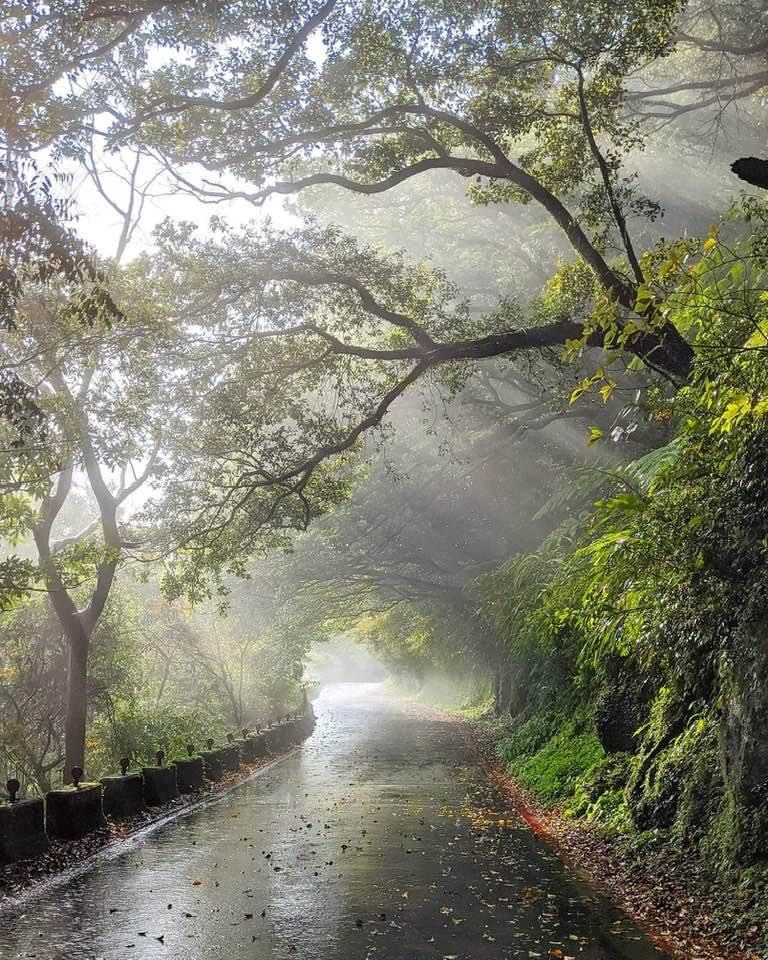陽明山國家公園清晨山巒美景