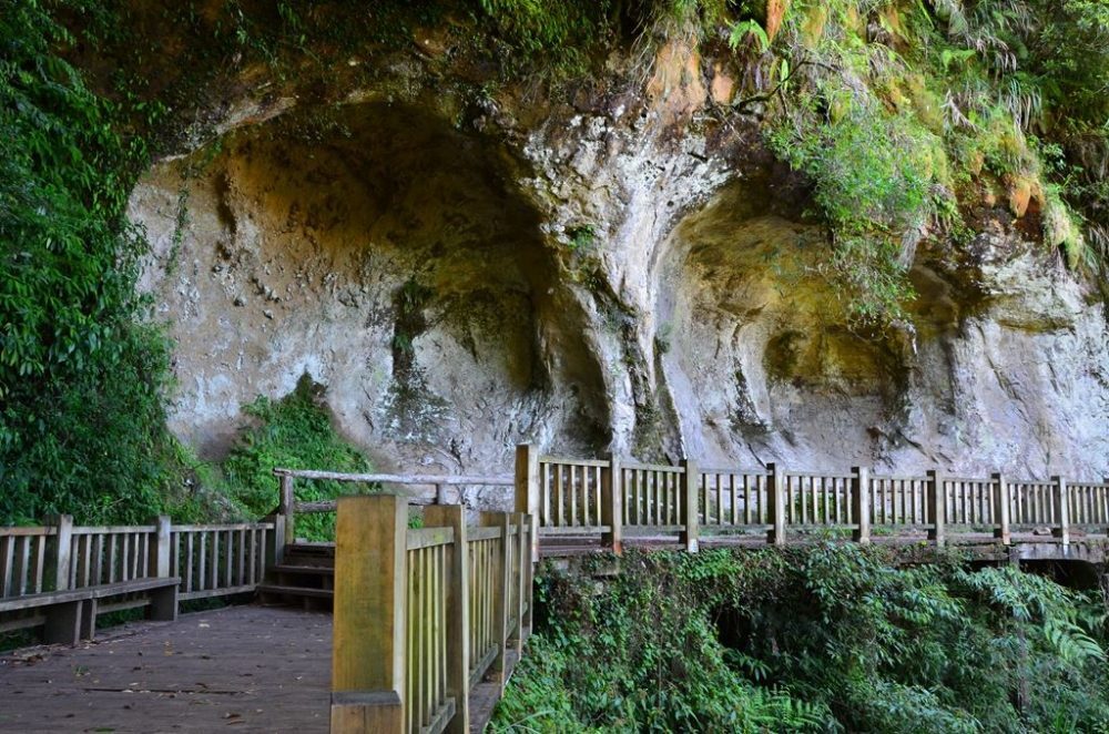 秋楓請假信已遞出！杉林溪的山林，準備幫你「請假充電」