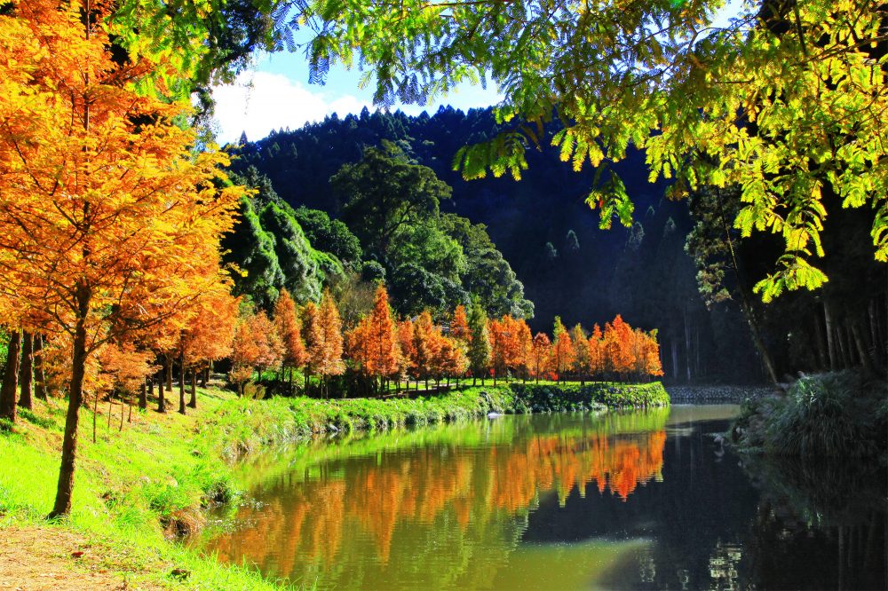 熱到懷疑人生？上山住杉林溪，把空調換成天然冷氣