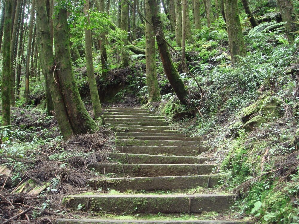 在杉林溪學會放慢｜每一滴瀑布都在替城市人洗去噪音