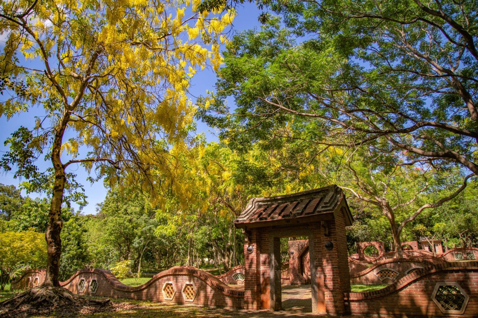 木頭的香氣、火車的鳴笛、夕陽的風｜嘉義一日遊的慢步調日常