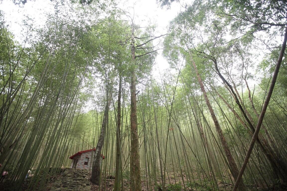 熱氣升騰的不是溫泉，是我重新開始的勇氣｜谷關的秋天，很療癒
