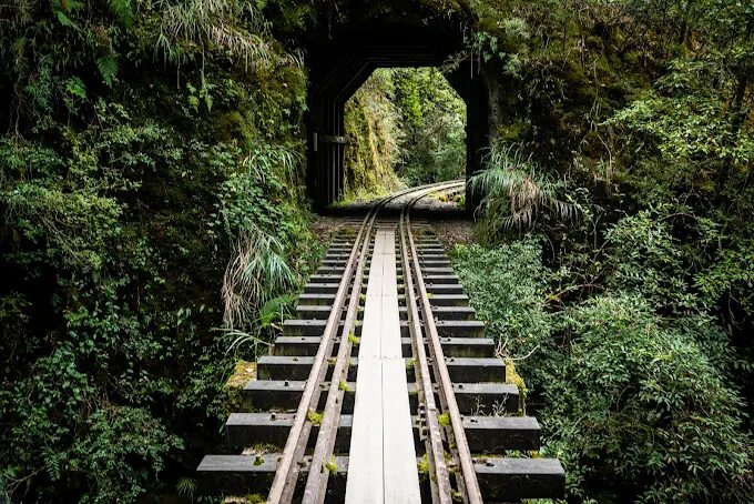 從阿里山森林步道到達娜伊谷溪谷，嘉義五個山林秘境在晨霧裡慢慢甦醒