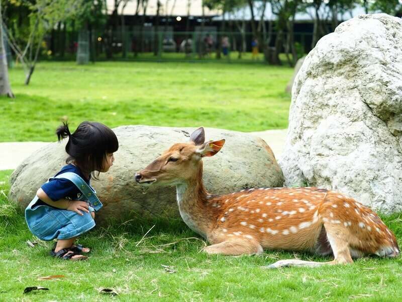 從阿里山森林步道到達娜伊谷溪谷，嘉義五個山林秘境在晨霧裡慢慢甦醒