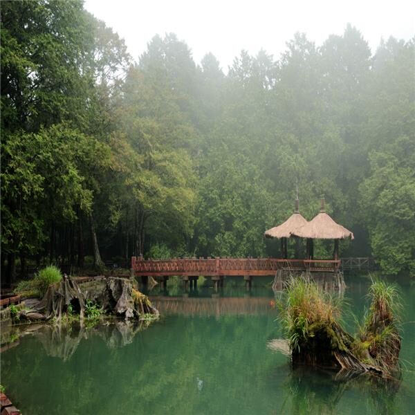 阿里山閣大飯店日記｜一場從霧裡醒來的旅程，教你聰明玩阿里山