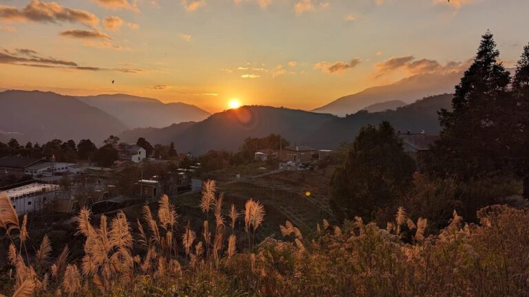 🌄 南投清境住宿推薦｜佳美渡假山莊：住進雲霧裡的木屋，賞星、泡茶、看山巒！