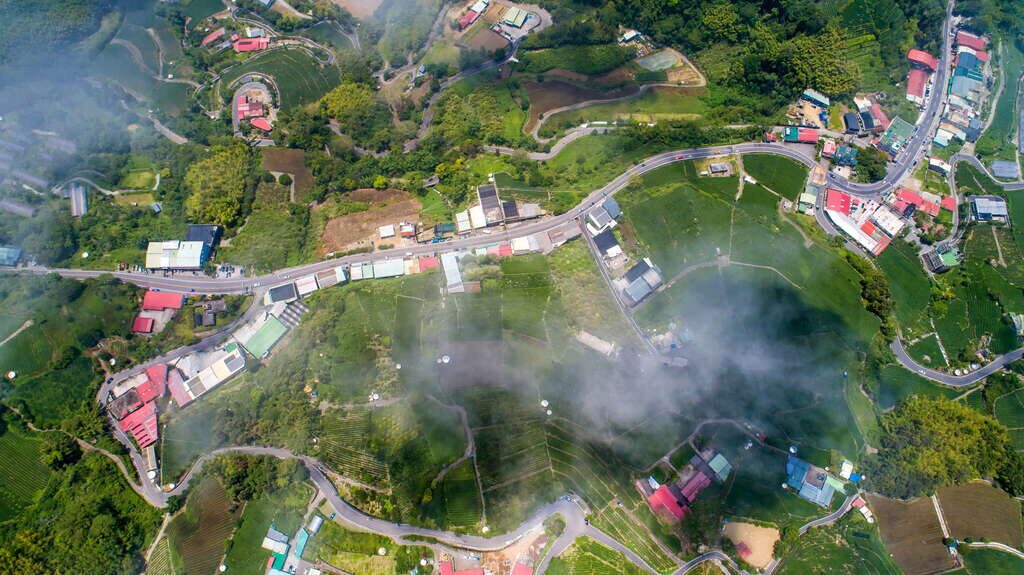 走進夜裡的雲霧，看山谷發光｜嘉義石棹步道群的琉璃光，美得像夢境一樣真實
