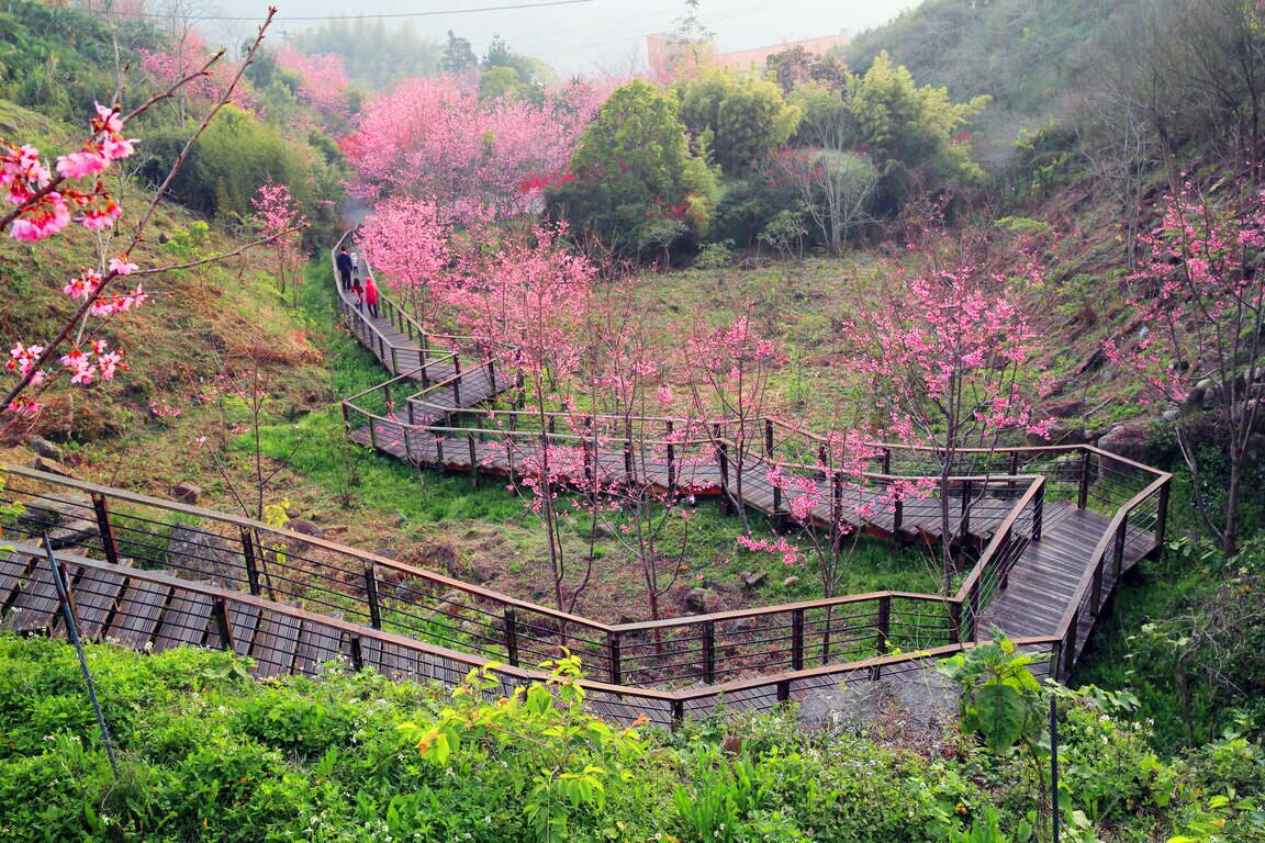 🏔️ 山友常說：轉個彎就到了｜走進嘉義石棹步道群，一彎、一景，一霧一心情
