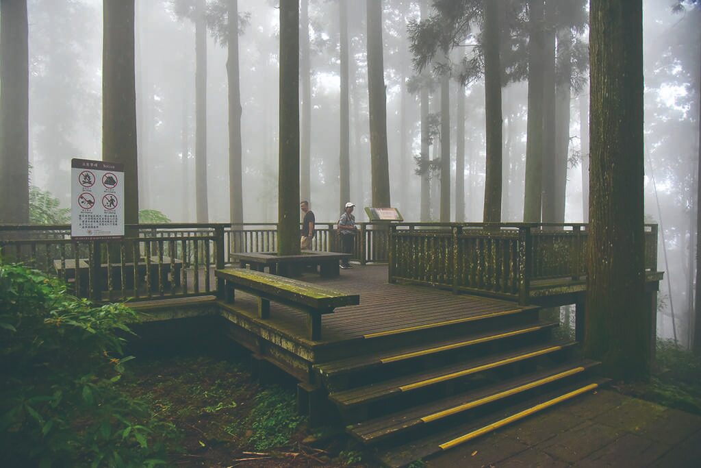 走進夜裡的雲霧，看山谷發光｜嘉義石棹步道群的琉璃光，美得像夢境一樣真實心情