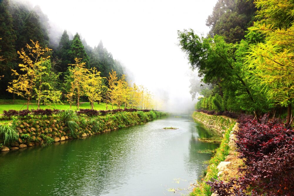 在雲霧裡醒來，讓心慢一點——住進南投杉林溪大飯店的山林早晨