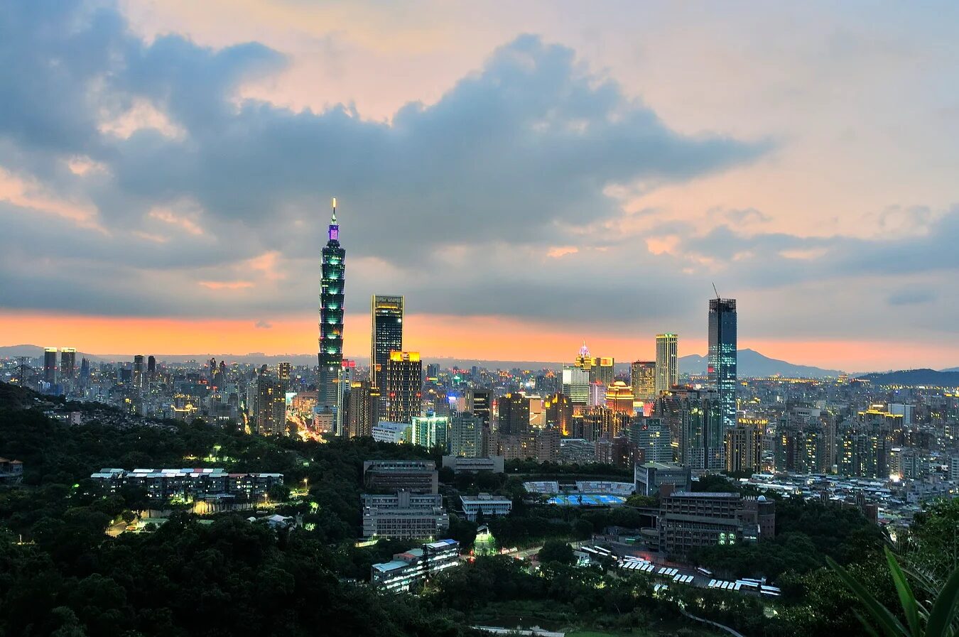 🌿虎山步道｜台北信義區的城市綠洲，走一小段就能看見台北101夜景