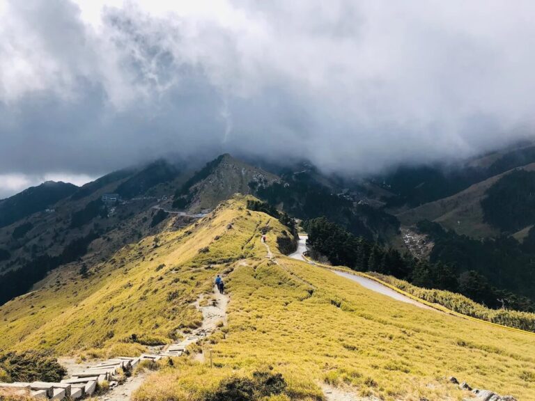 從海到山、從森林到雲端｜探索台灣最經典的登山步道