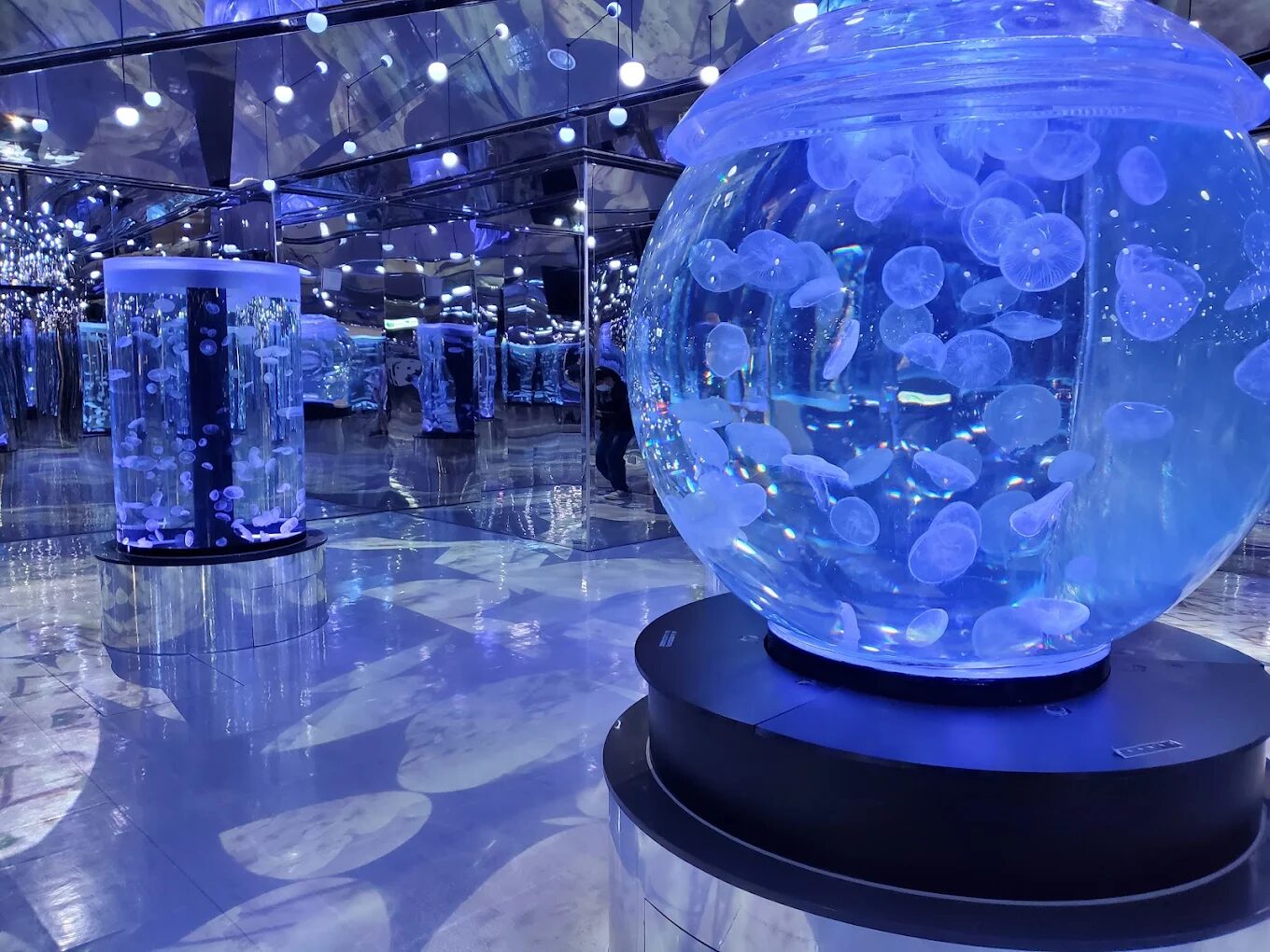 Xpark水族館充滿奇幻氛圍的水母展示區