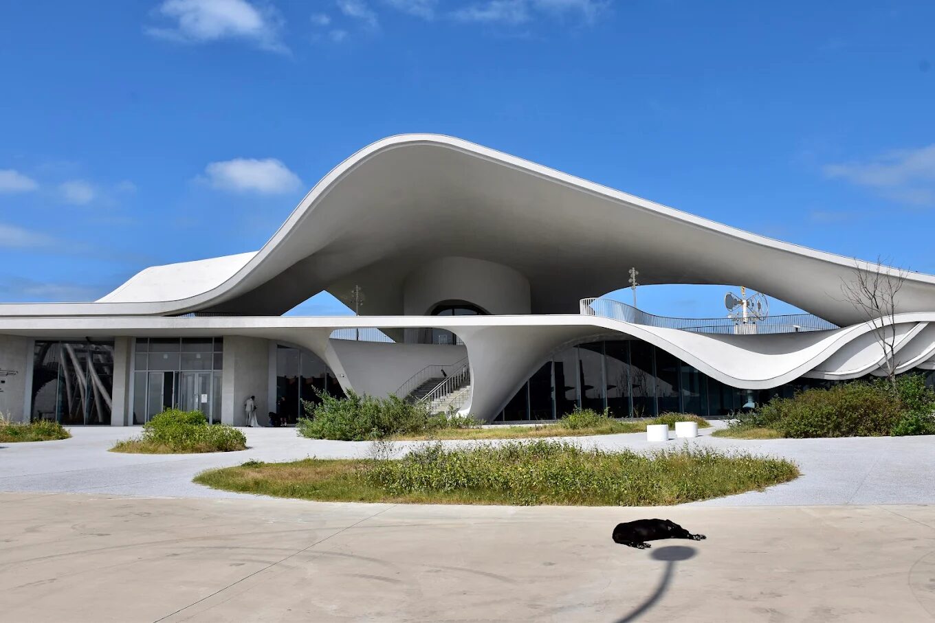 永安海螺館純白潔淨的建築線條