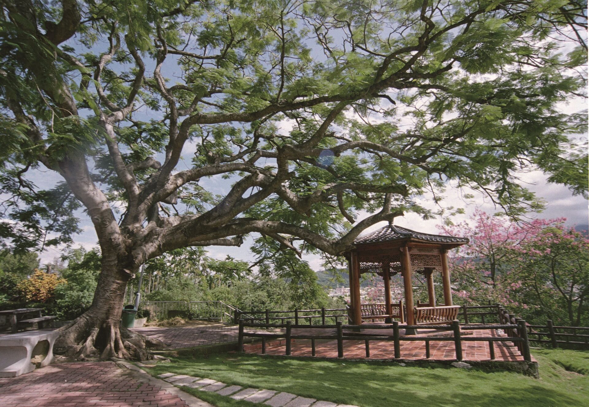 帶孩子出發吧！體驗手作、走吊橋、逛老街，一日玩透嘉義梅山