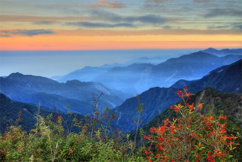 翻越層層山徑走上北大武山登山步道，當視野打開那一刻整片雲海在腳下流動