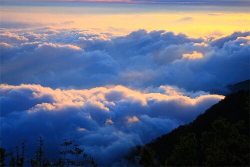 翻越層層山徑走上北大武山登山步道，當視野打開那一刻整片雲海在腳下流動