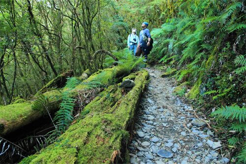 翻過霧氣與山嶺，只為那一抹金光——屏東北大武山的日落雲海之路