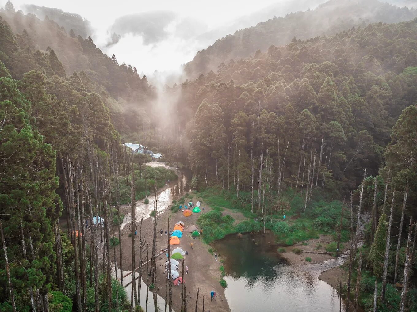 走進雲霧深處，看見倒映天光的湖泊──嘉義阿里山的水漾森林
