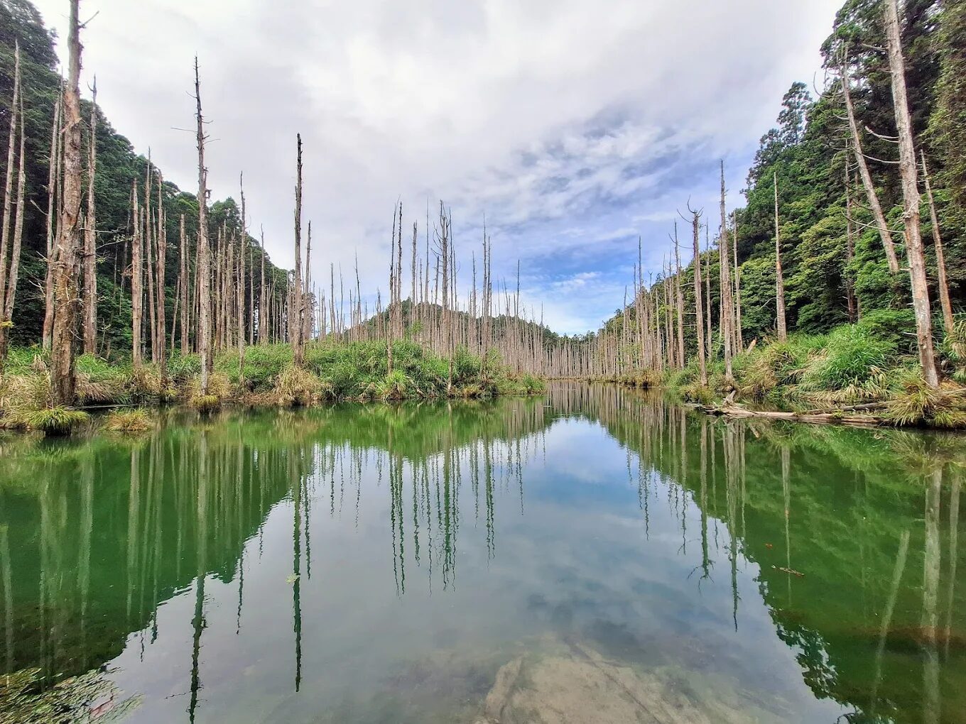 走進雲霧深處，看見倒映天光的湖泊──嘉義阿里山的水漾森林