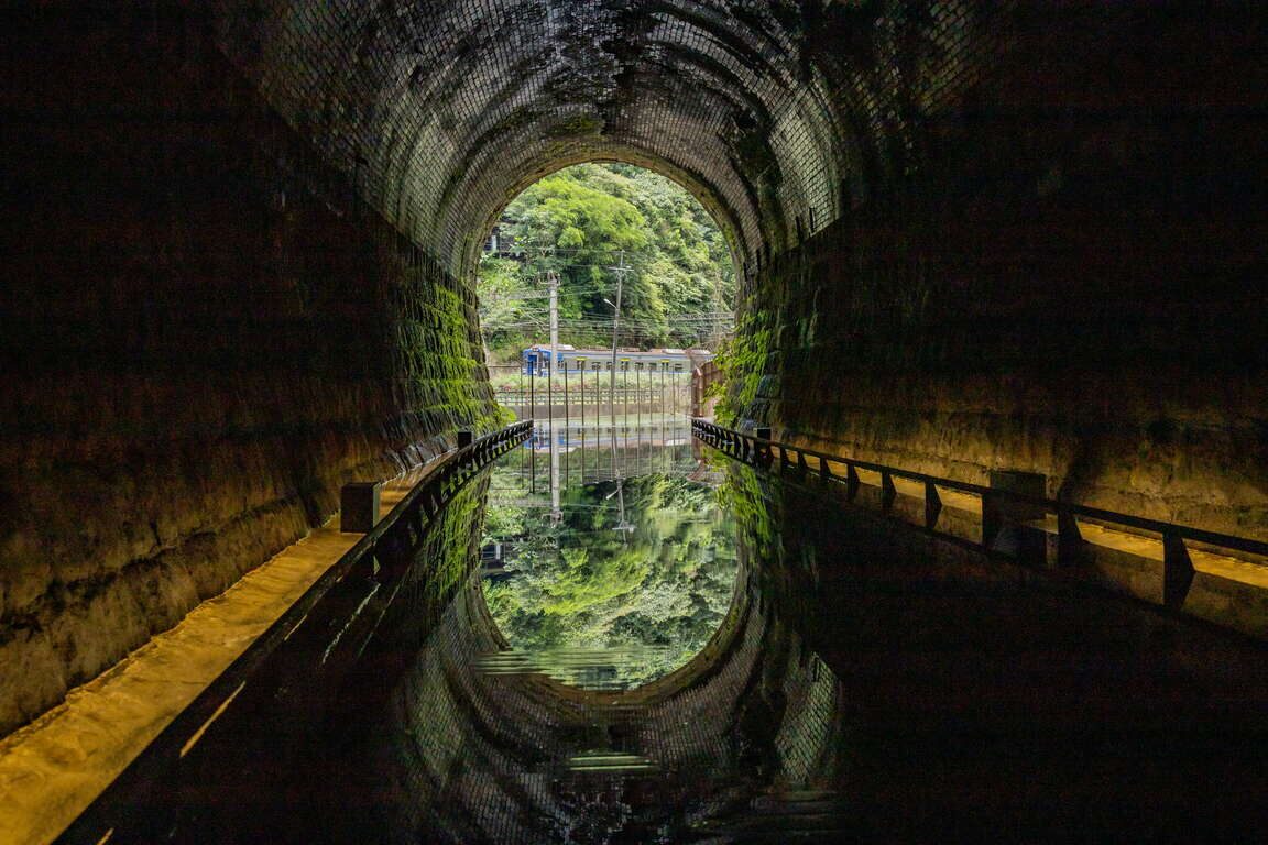 隧道出入口呈現出綠意盎然的秘境感