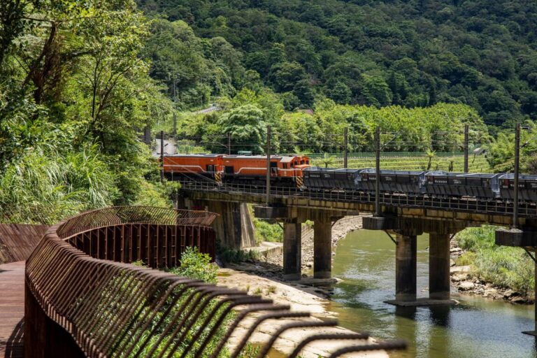 綠意與歷史交織的秘境旅程｜三貂嶺隧道自然光影與生態奇景必收藏