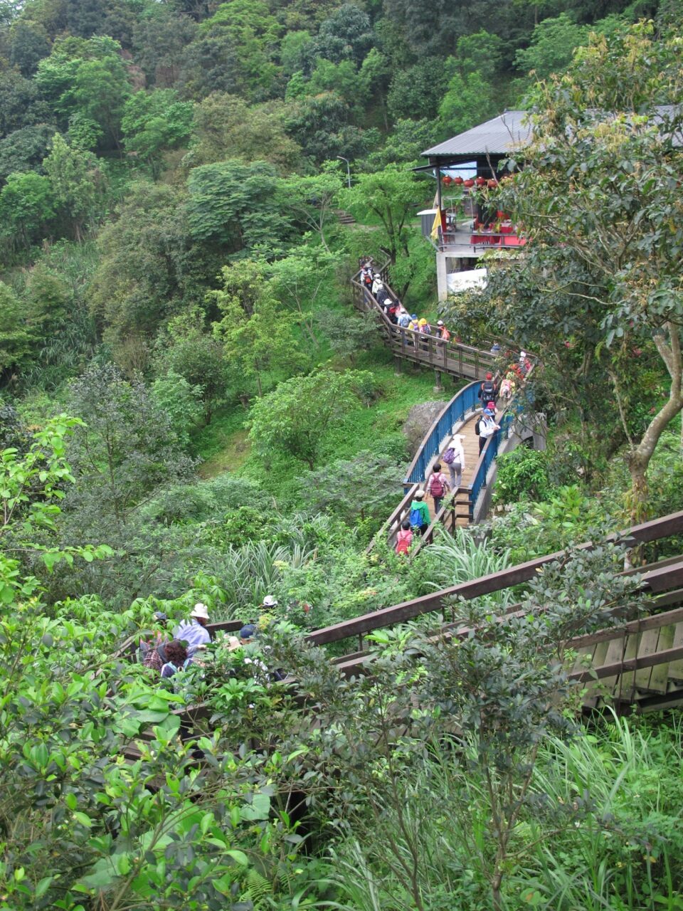 半天就能遠足一座山，俯瞰整個信義夜景：台北虎山步道輕旅行