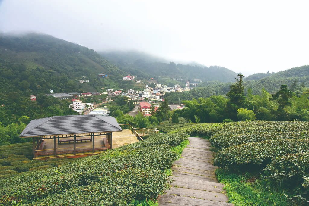 抬頭是雲海,低頭是山谷|走一段太平雲梯的療癒雲端路