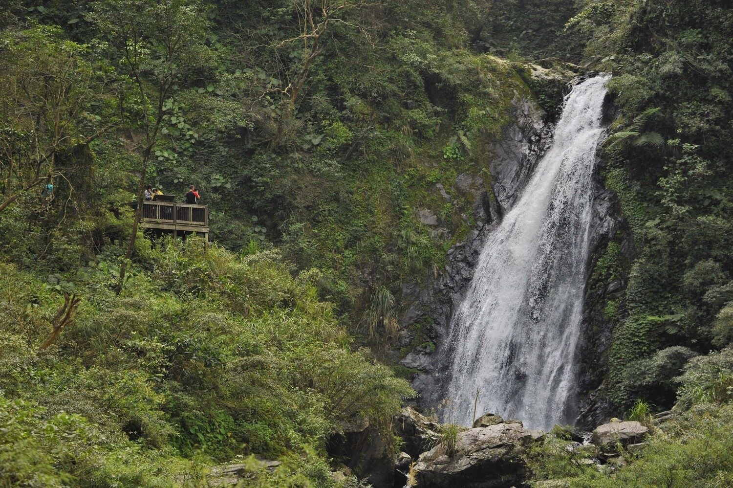 沿著風與溪聲前行，一路走進水霧光影的森林秘境──宜蘭冬山新寮瀑布步道