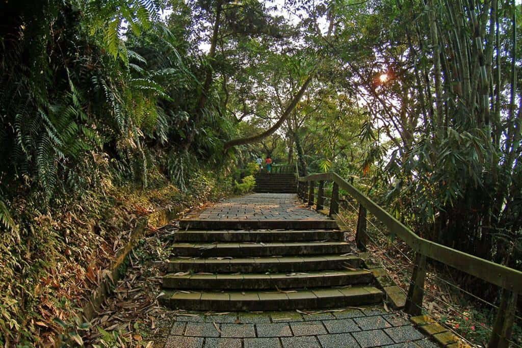 搭船、品茶、登塔看夕陽:從早到晚玩透南投日月潭伊達邵碼頭的一天