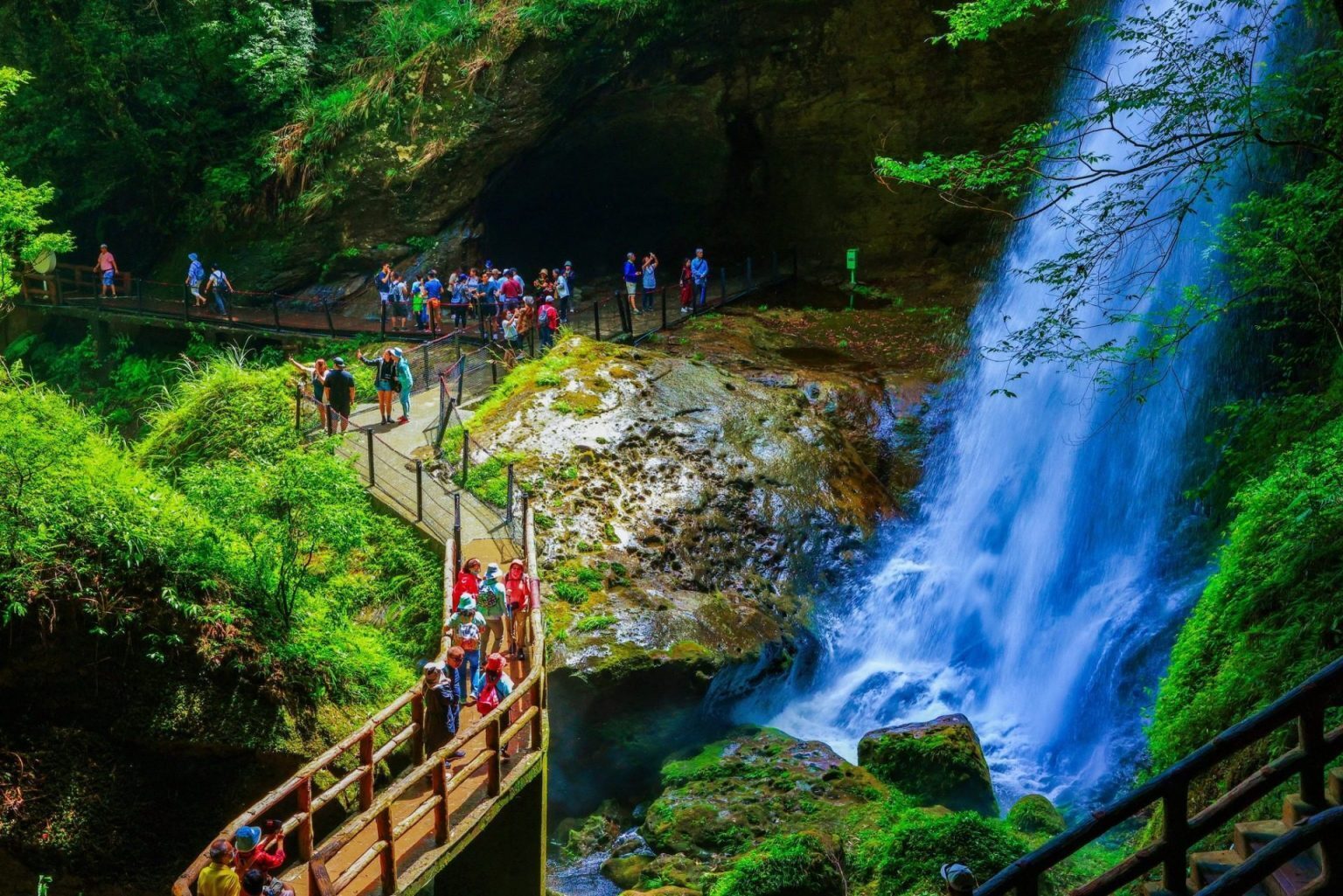 一場被雲霧擁抱的旅程，沿著山路走進杉林溪森林生態渡假園區