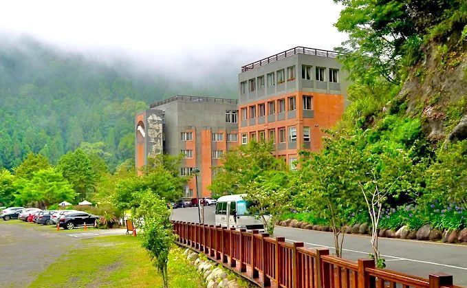 一場被雲霧擁抱的旅程，沿著山路走進杉林溪森林生態渡假園區
