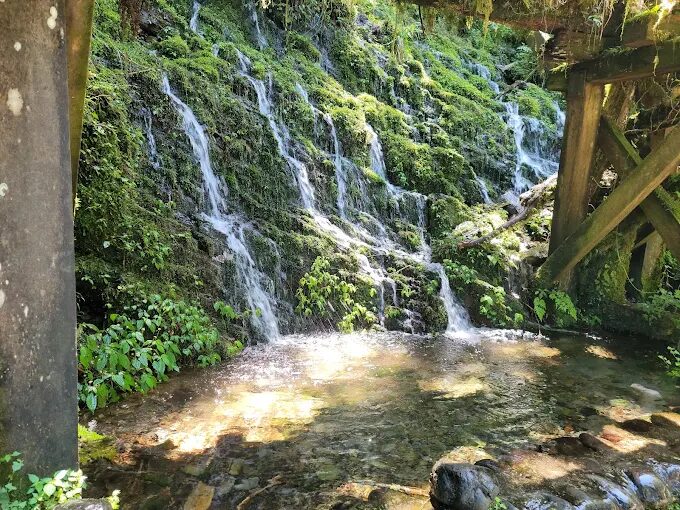 走在青苔鐵軌上，看雲霧流動——慢遊太平山見晴懷古步道的時光旅程