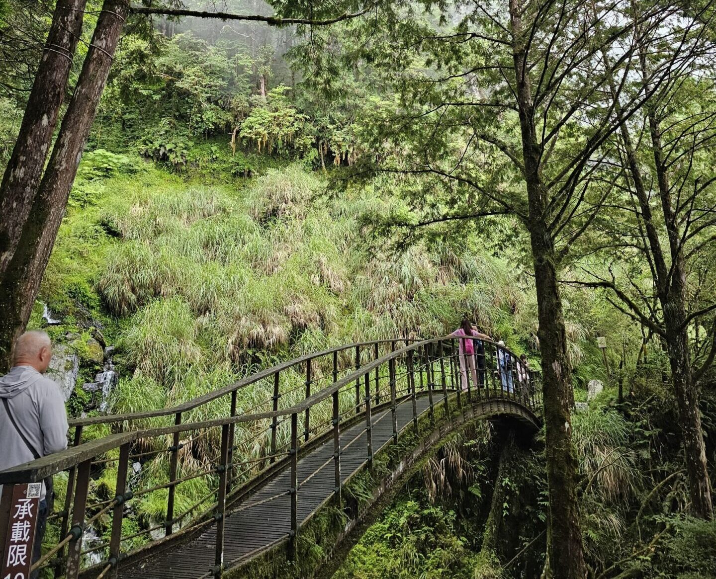 走在青苔鐵軌上，看雲霧流動——慢遊太平山見晴懷古步道的時光旅程