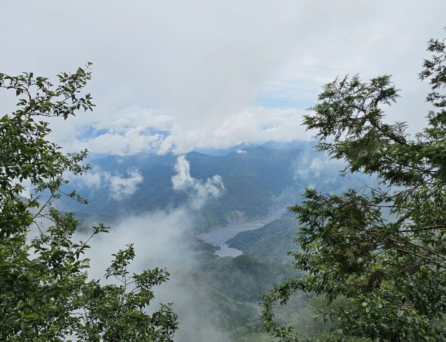 走在青苔鐵軌上，看雲霧流動——慢遊太平山見晴懷古步道的時光旅程