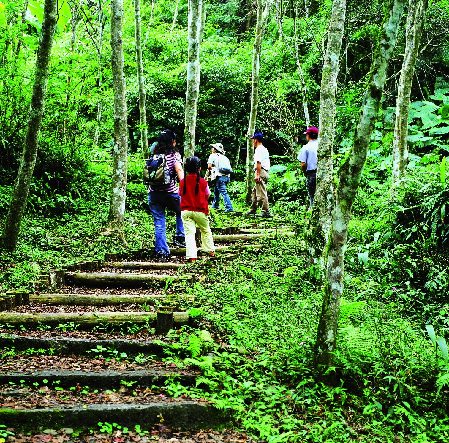 在山林裡煮蛋、泡湯、看霧氣升起——一次愛上宜蘭鳩之澤溫泉的地熱日常