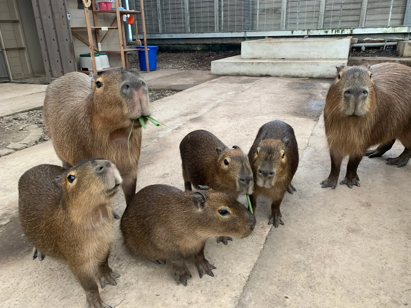 金車礁溪蘭花園附設動植物生態館