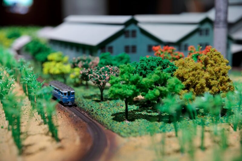 在時光裡漫遊，從化石到交趾陶：走進嘉義市立博物館，聽見城市的故事