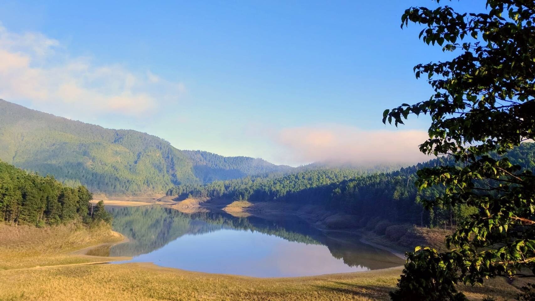 雲海鋪成的地毯，風是旅人的指引——望洋山步道・宜蘭南澳的高山畫卷