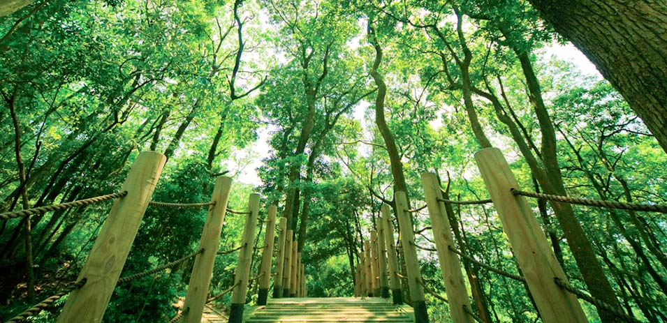 在山林裡泡湯，與自己重逢的靜謐時光｜在麗多森林溫泉酒店，泡一池忘憂的溫泉