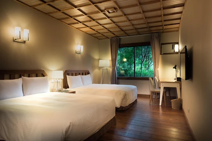 一場被樹影包圍的假期｜在宜蘭棲蘭山莊裡過一夜，讓心歸於山林的懷抱