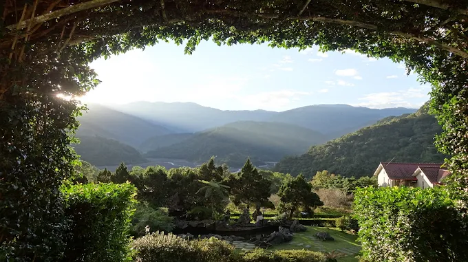 一場被樹影包圍的假期｜在宜蘭棲蘭山莊裡過一夜，讓心歸於山林的懷抱