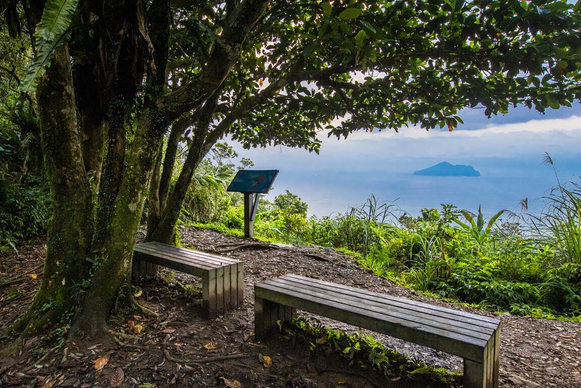 森林深處的柔光與足跡，從雙溪出發，尋一段被遺忘的坪溪古道風景