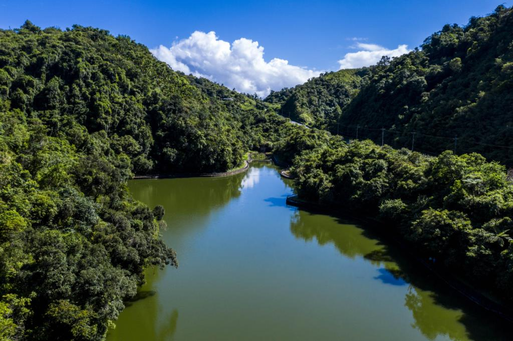 清水地熱公園漫步記：宜蘭秋冬最暖的山谷蒸氣與地熱香氣