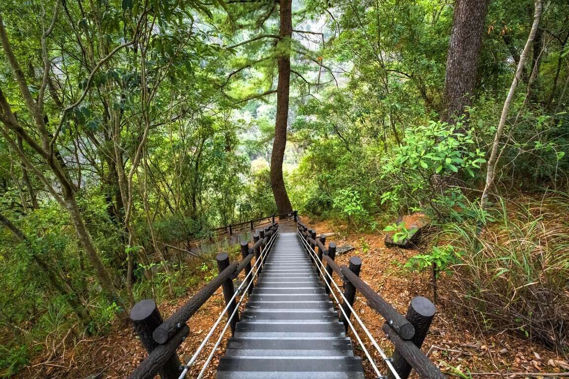 放慢腳步的旅行,從一場山中溫泉開始|台中和平谷關明治溫泉飯店