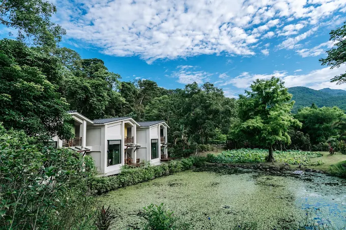 一夜住進風景裡：探索台灣最美民宿，從苗栗山林到花蓮海岸